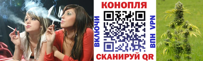Купить наркотики сайты Рошаль A PVP  Псилоцибиновые грибы  Меф мяу мяу 