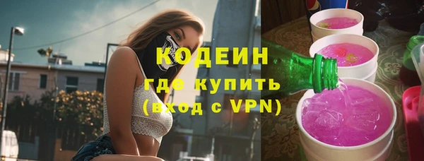 шишки Осташков
