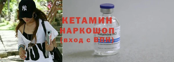 стаф Дмитриев