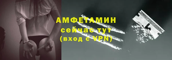 стаф Дмитриев