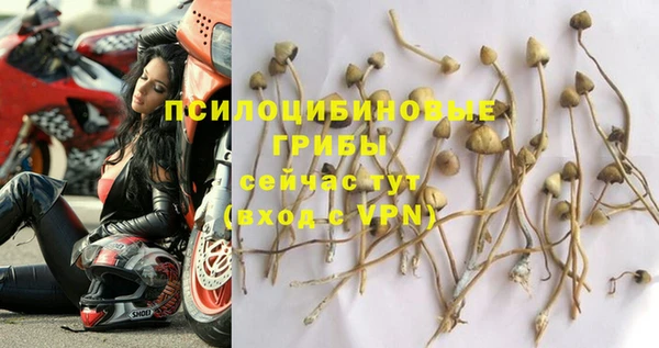 трава Дмитров