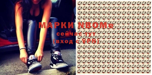 стаф Дмитриев