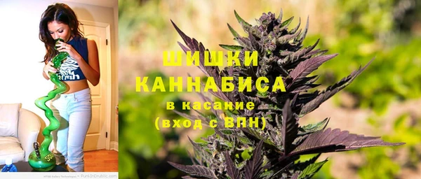 стаф Дмитриев