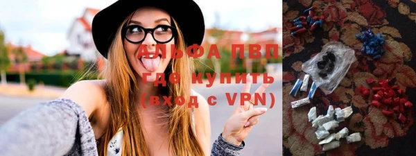 стаф Дмитриев