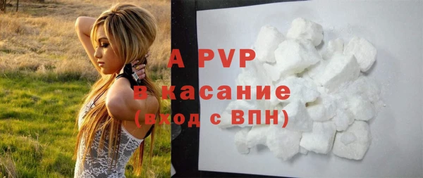 стаф Дмитриев