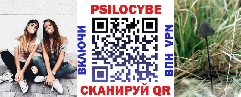 Галлюциногенные грибы мицелий  hydra ссылка  Рошаль 