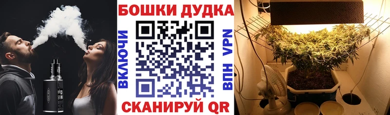 Марихуана индика Рошаль